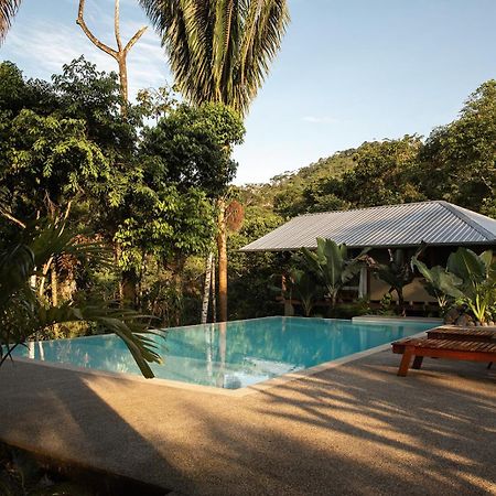 Wild Wasi Lodge - Adventures - Guided Tours Puyo Eksteriør billede