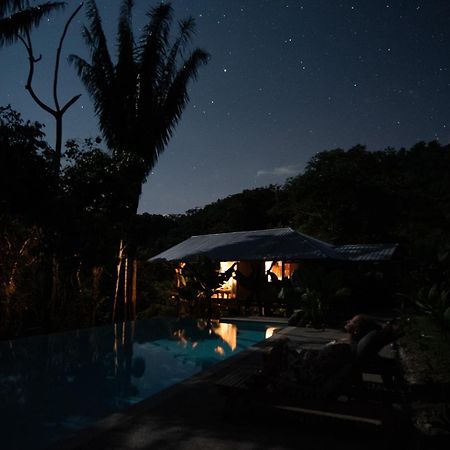 Wild Wasi Lodge - Adventures - Guided Tours Puyo Eksteriør billede
