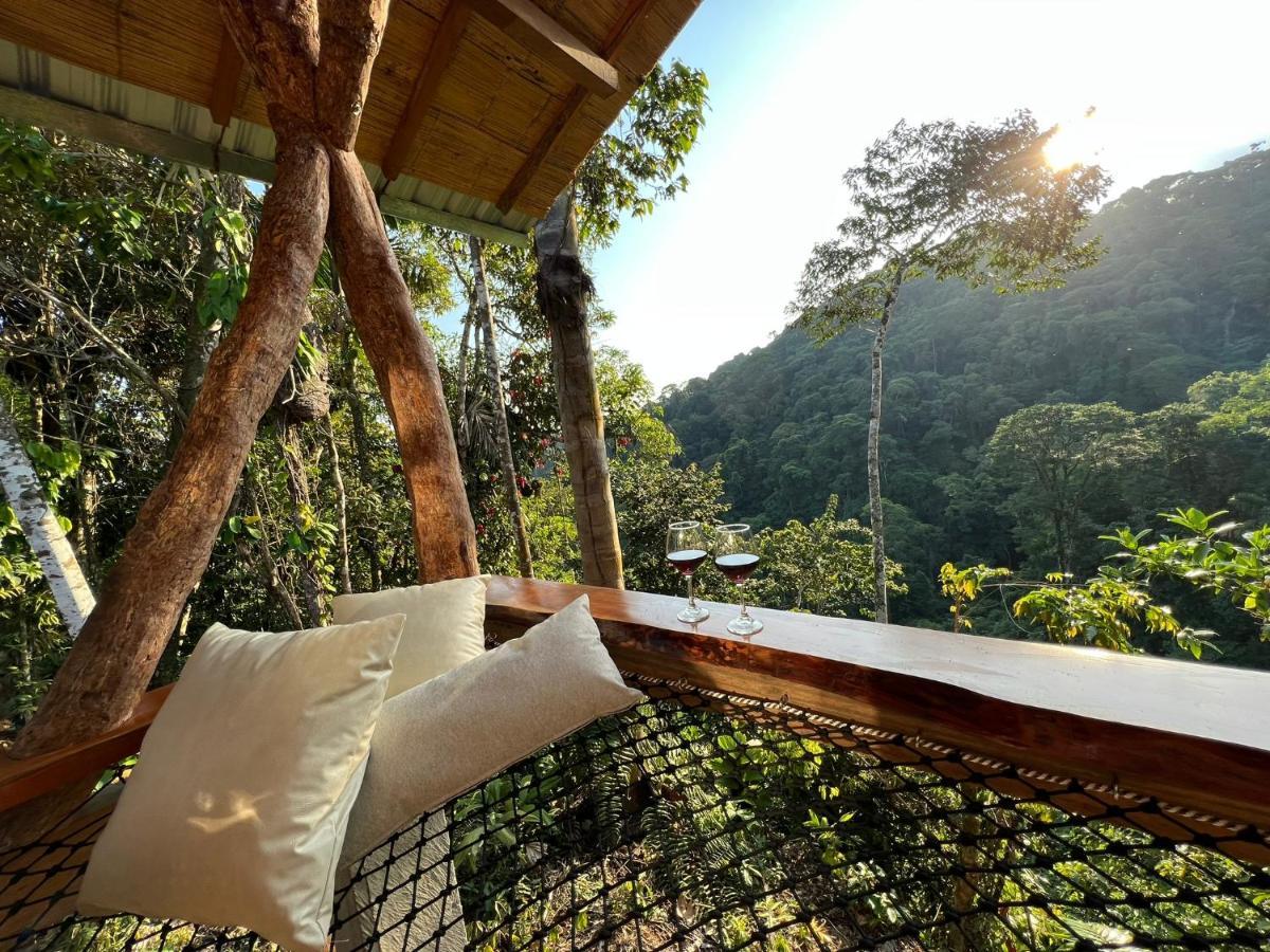 Wild Wasi Lodge - Adventures - Guided Tours Puyo Eksteriør billede