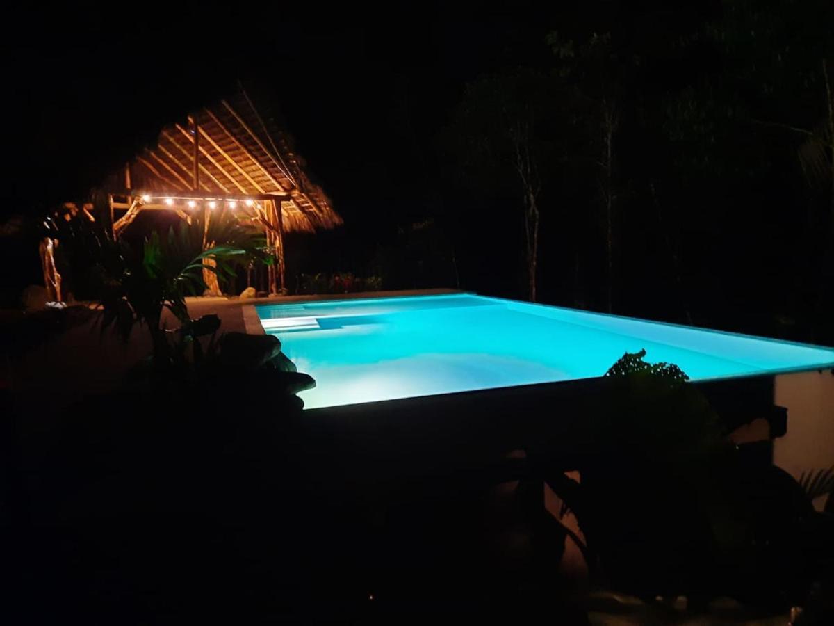 Wild Wasi Lodge - Adventures - Guided Tours Puyo Eksteriør billede