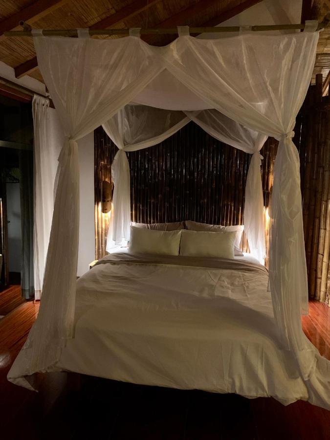 Wild Wasi Lodge - Adventures - Guided Tours Puyo Eksteriør billede