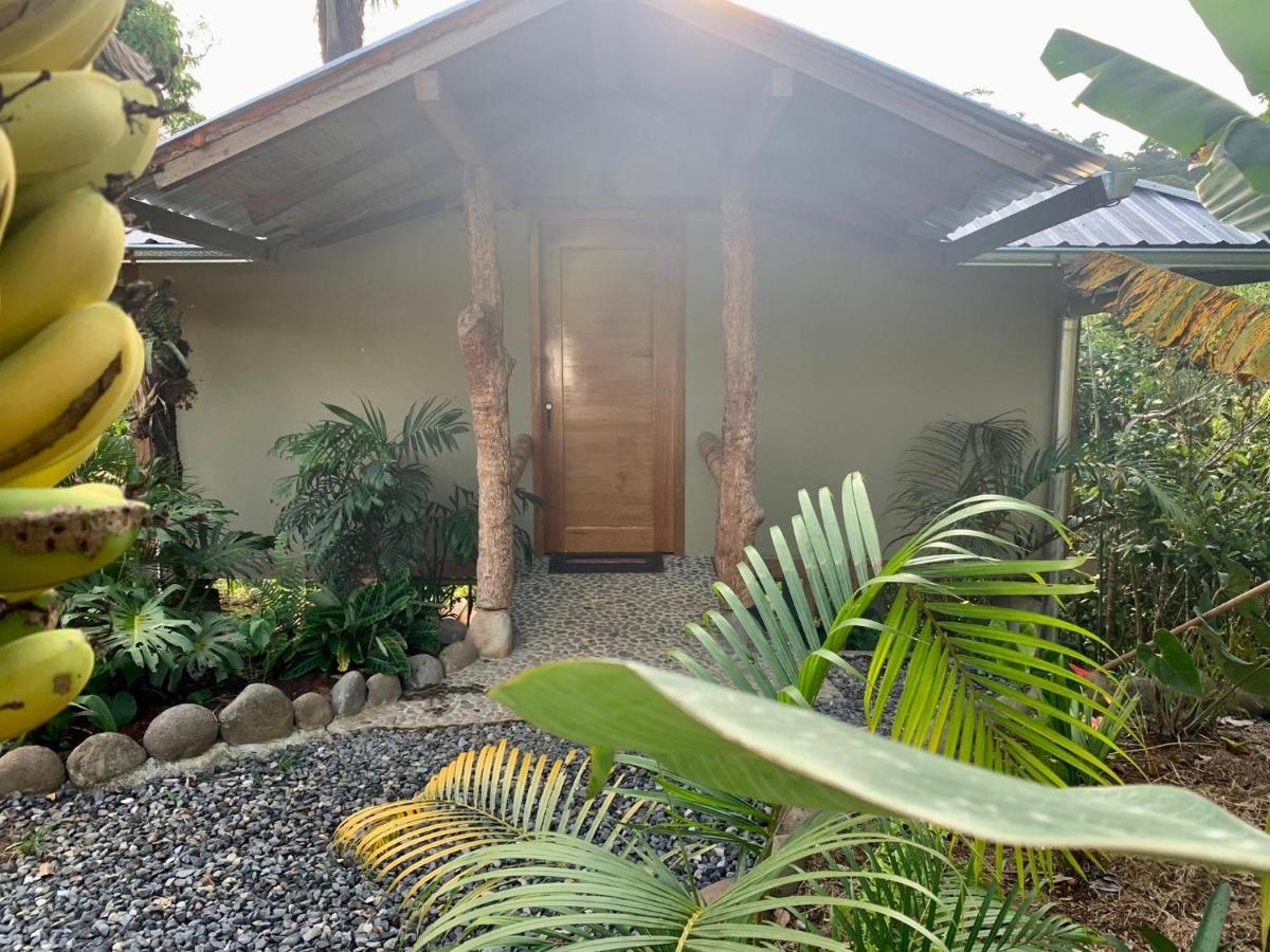 Wild Wasi Lodge - Adventures - Guided Tours Puyo Eksteriør billede
