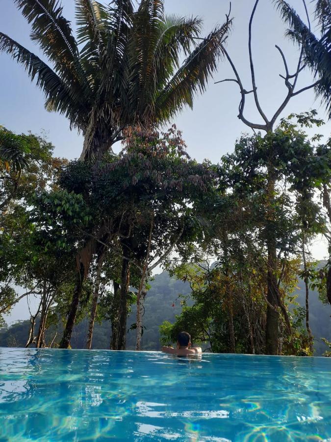 Wild Wasi Lodge - Adventures - Guided Tours Puyo Eksteriør billede