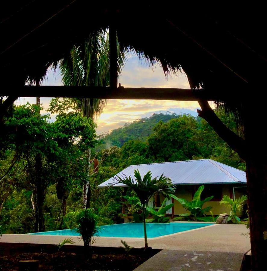 Wild Wasi Lodge - Adventures - Guided Tours Puyo Eksteriør billede