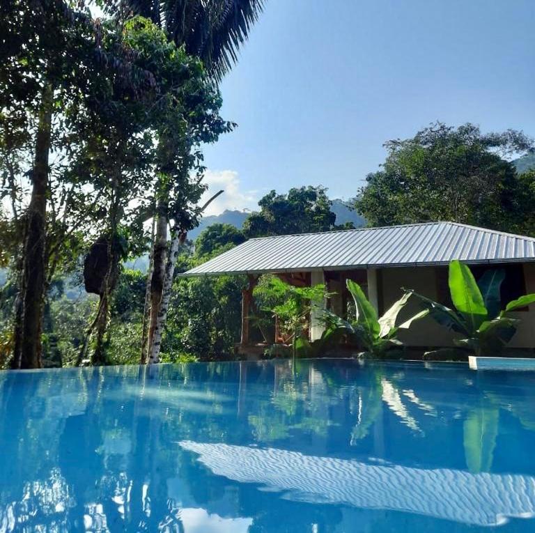Wild Wasi Lodge - Adventures - Guided Tours Puyo Eksteriør billede