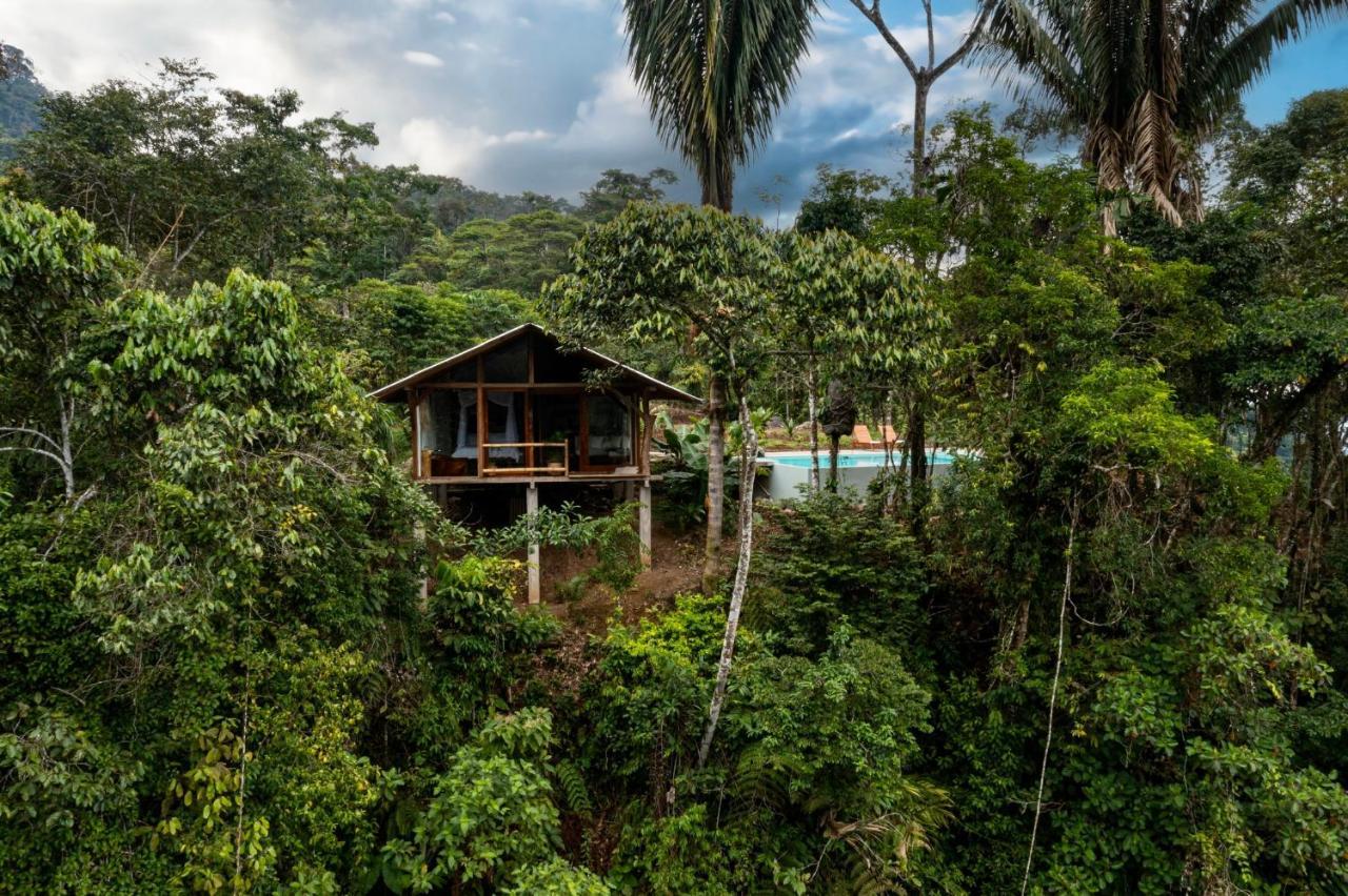 Wild Wasi Lodge - Adventures - Guided Tours Puyo Eksteriør billede