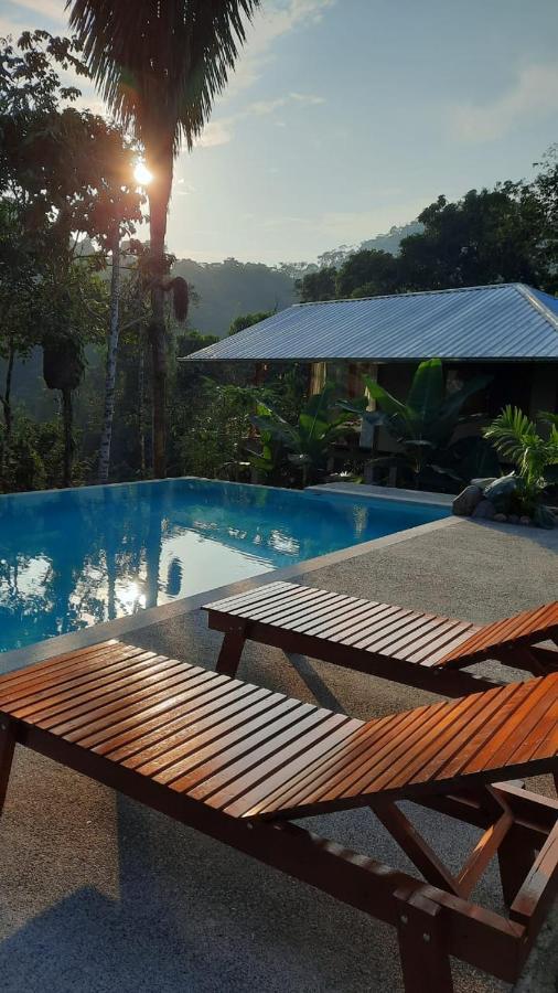 Wild Wasi Lodge - Adventures - Guided Tours Puyo Eksteriør billede
