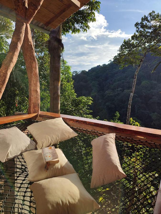 Wild Wasi Lodge - Adventures - Guided Tours Puyo Eksteriør billede
