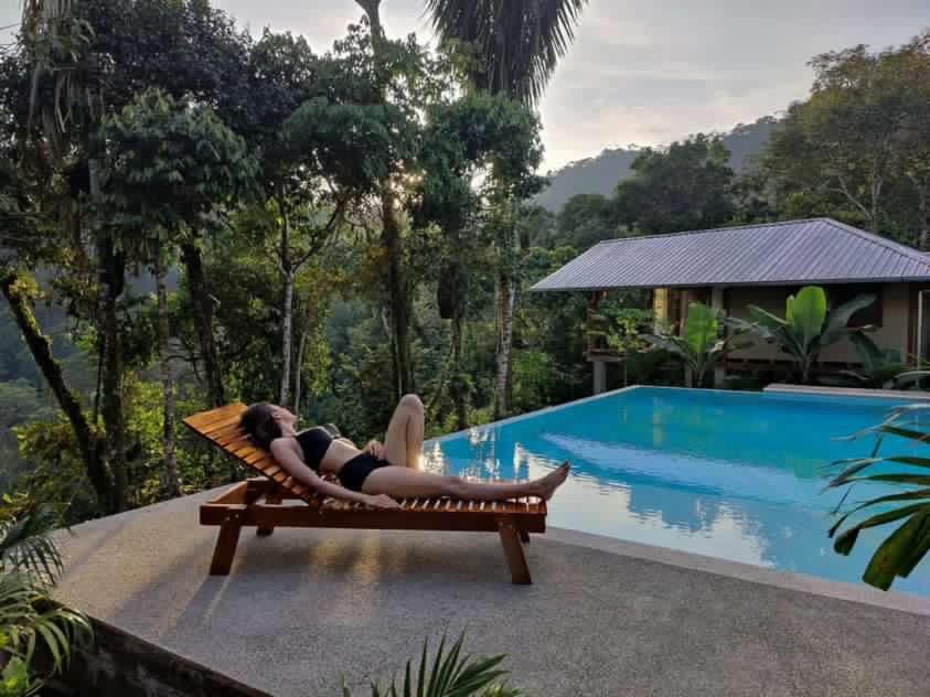 Wild Wasi Lodge - Adventures - Guided Tours Puyo Eksteriør billede