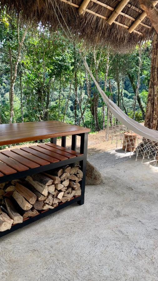Wild Wasi Lodge - Adventures - Guided Tours Puyo Eksteriør billede