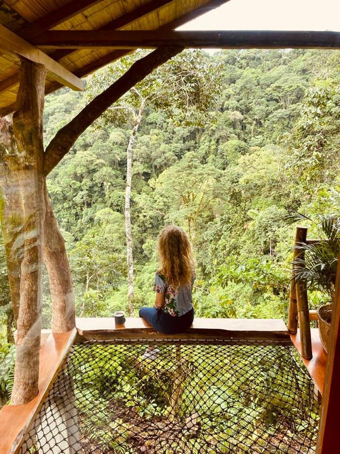 Wild Wasi Lodge - Adventures - Guided Tours Puyo Eksteriør billede