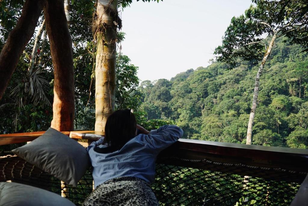 Wild Wasi Lodge - Adventures - Guided Tours Puyo Eksteriør billede