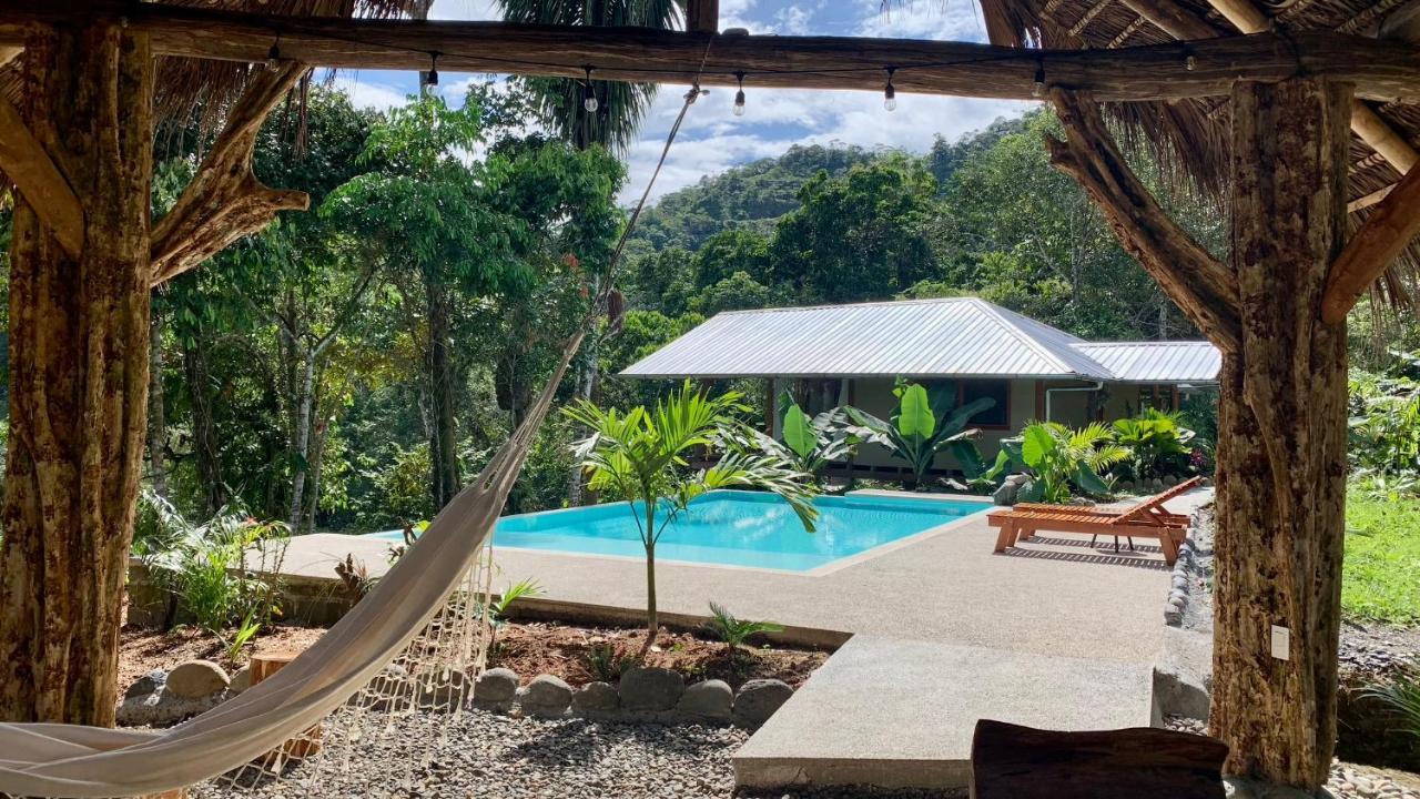 Wild Wasi Lodge - Adventures - Guided Tours Puyo Eksteriør billede