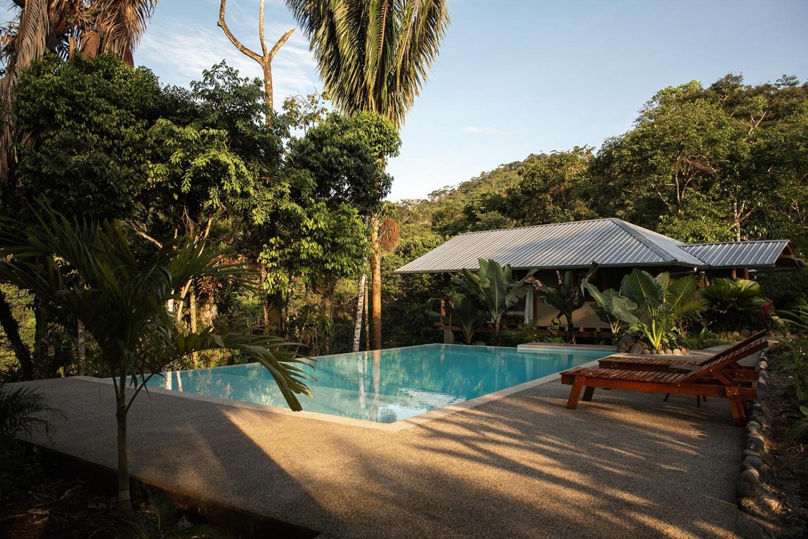 Wild Wasi Lodge - Adventures - Guided Tours Puyo Eksteriør billede