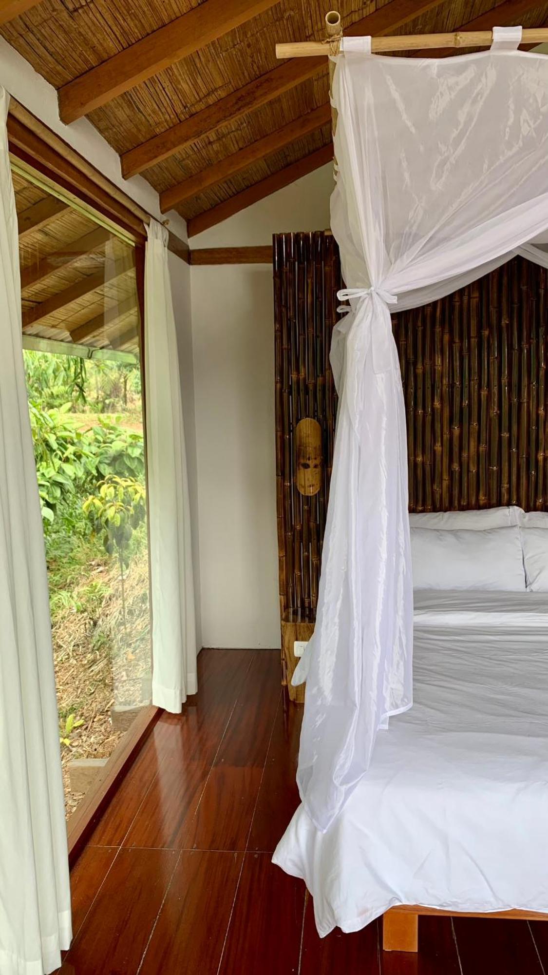 Wild Wasi Lodge - Adventures - Guided Tours Puyo Eksteriør billede