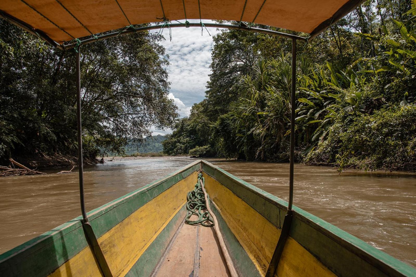Wild Wasi Lodge - Adventures - Guided Tours Puyo Eksteriør billede