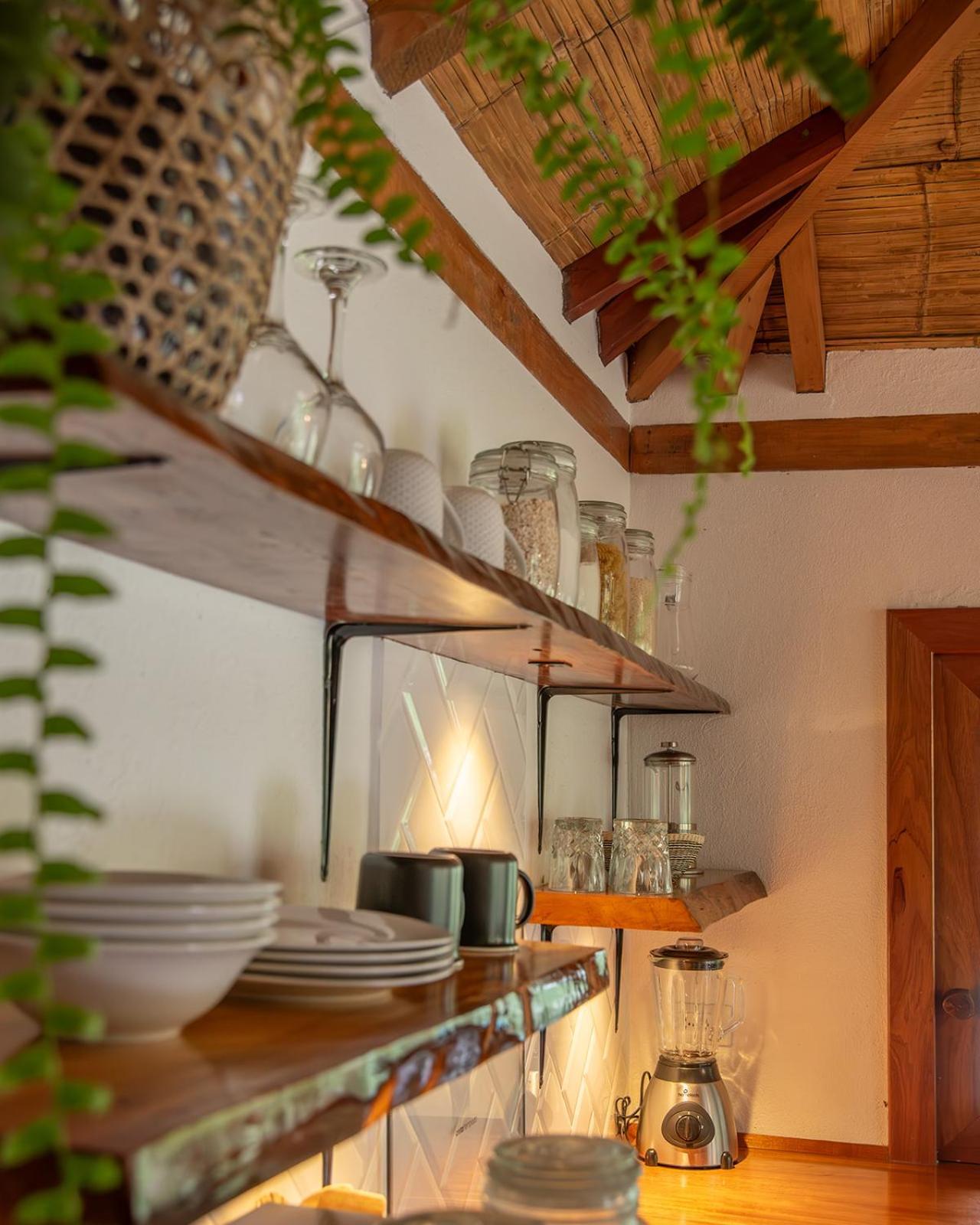 Wild Wasi Lodge - Adventures - Guided Tours Puyo Eksteriør billede