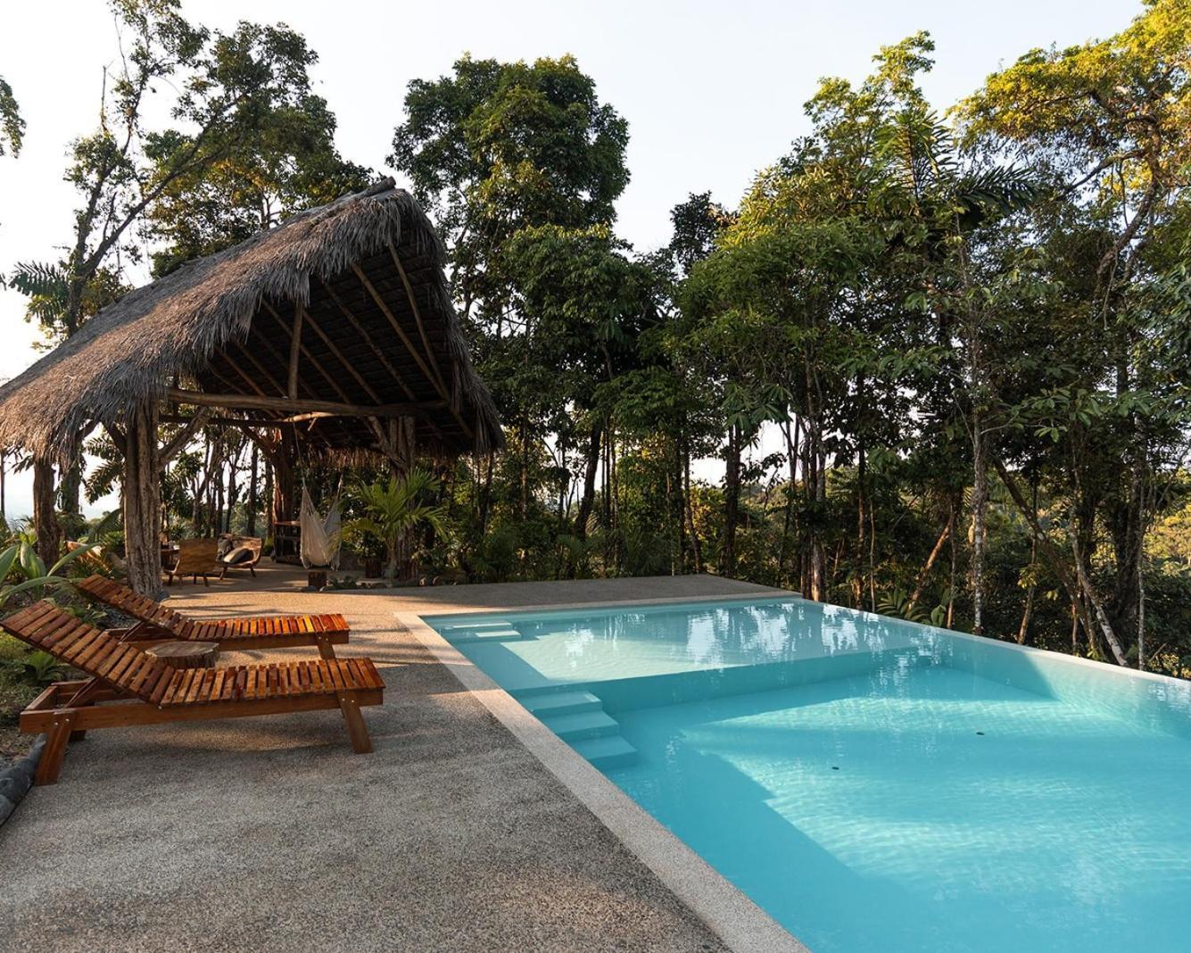 Wild Wasi Lodge - Adventures - Guided Tours Puyo Eksteriør billede