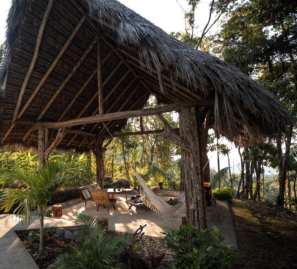 Wild Wasi Lodge - Adventures - Guided Tours Puyo Eksteriør billede