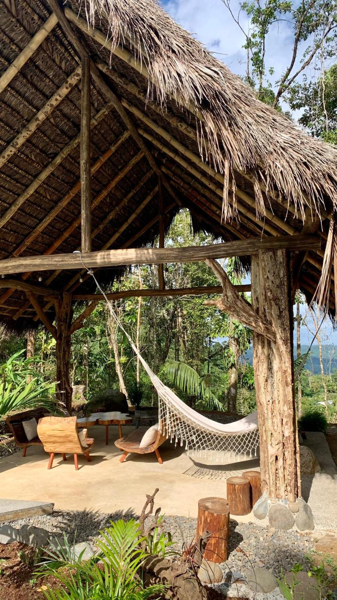 Wild Wasi Lodge - Adventures - Guided Tours Puyo Eksteriør billede