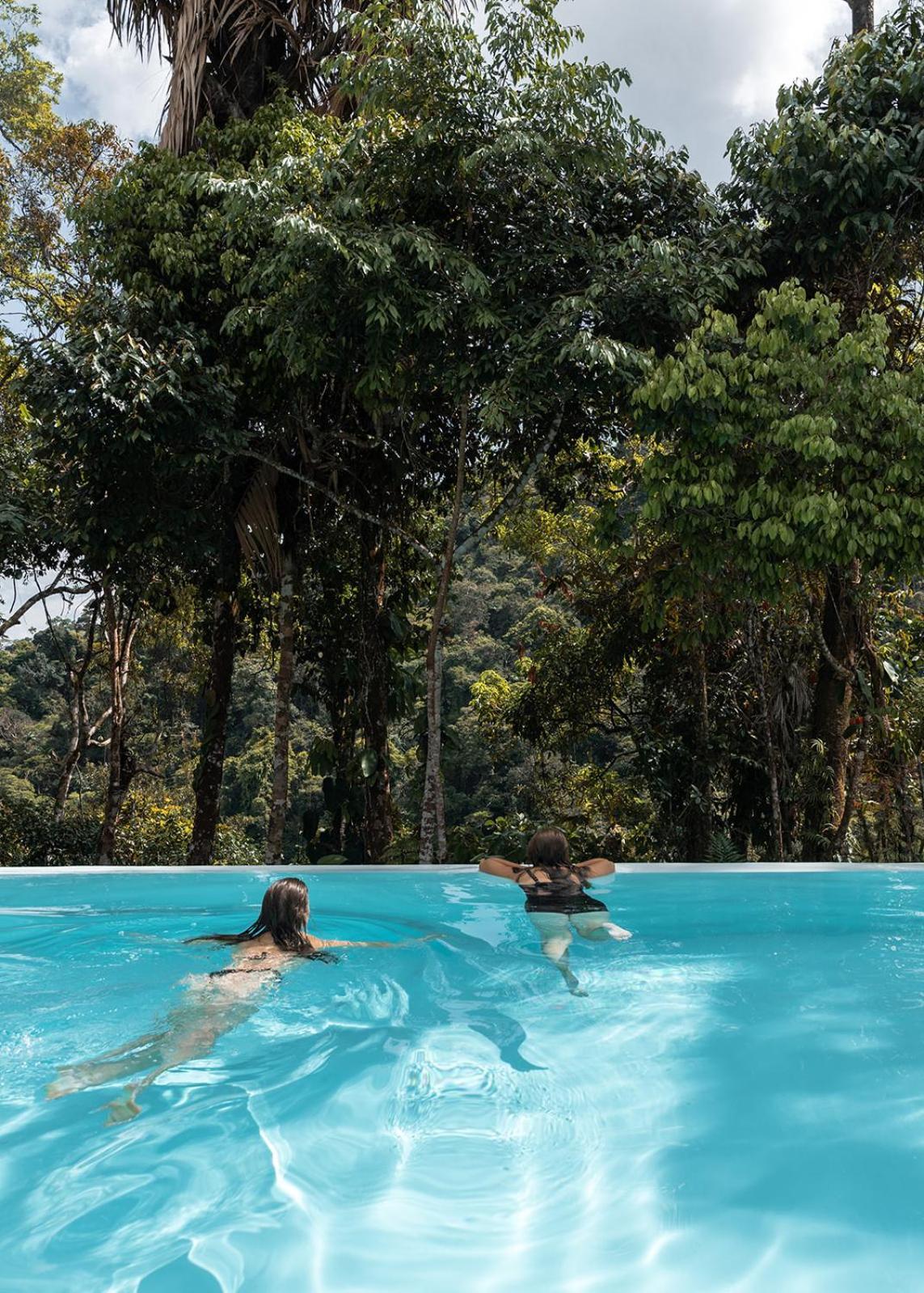 Wild Wasi Lodge - Adventures - Guided Tours Puyo Eksteriør billede