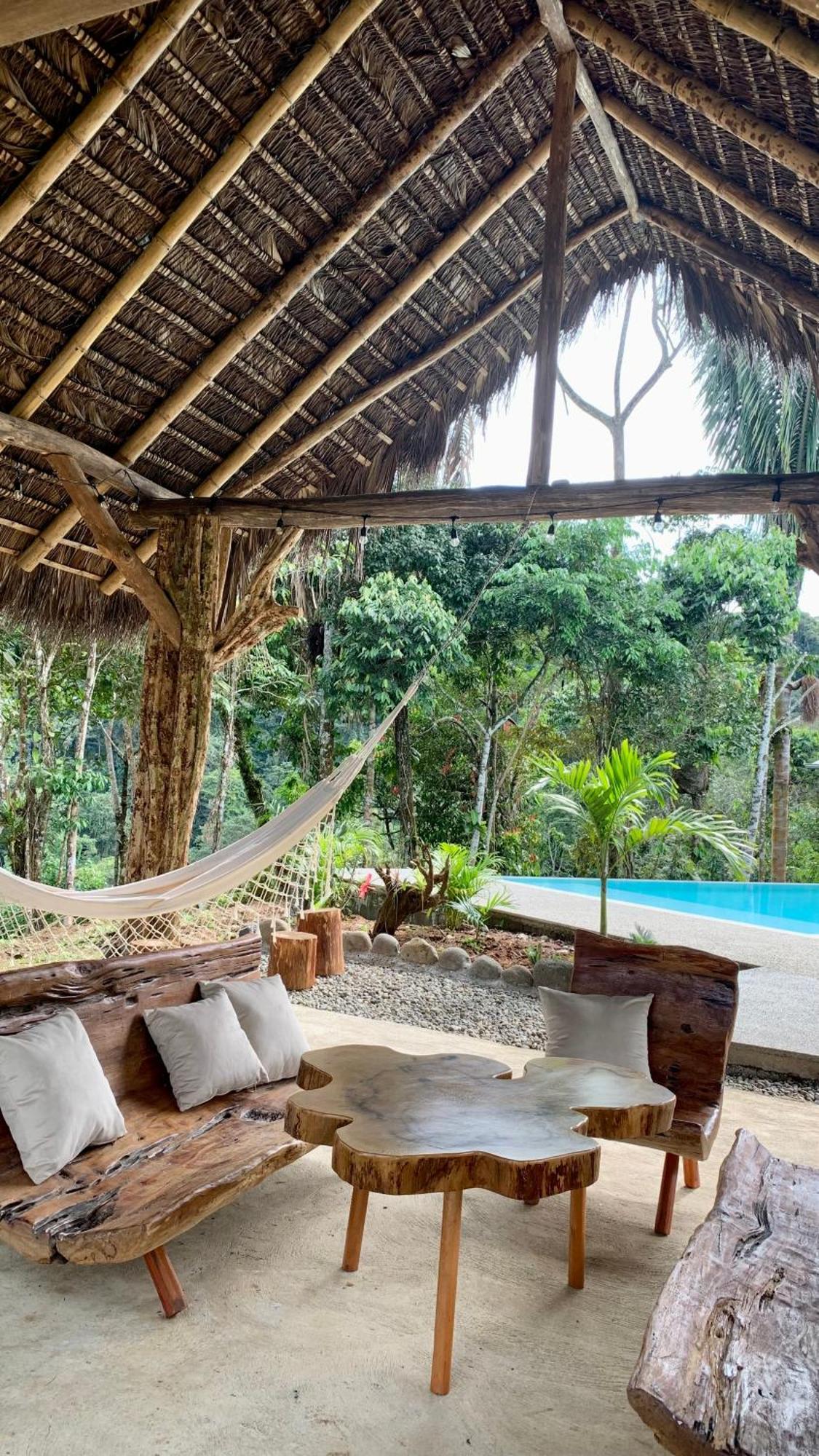 Wild Wasi Lodge - Adventures - Guided Tours Puyo Eksteriør billede